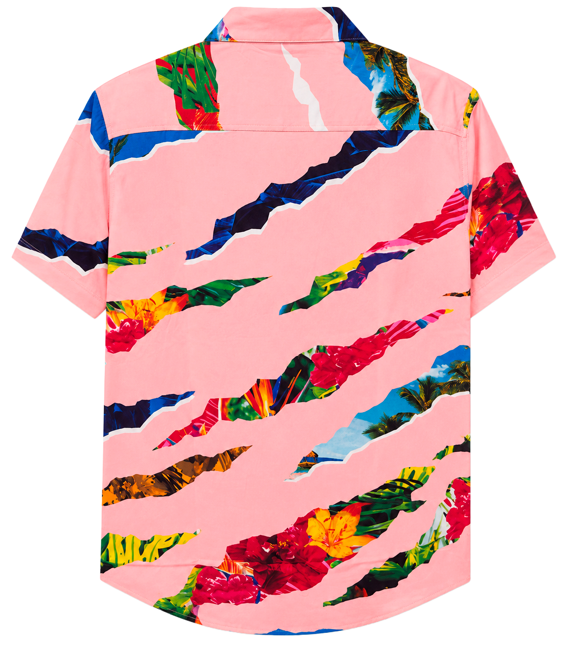 BORN FLY S/S BUTTON-DOWN SHIRT PINK - 2306W4728