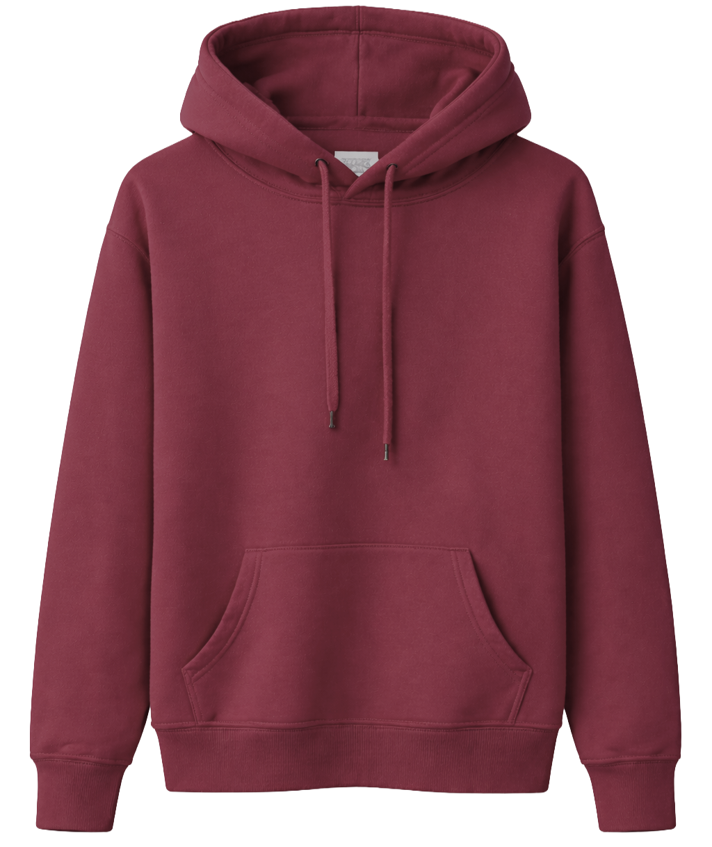 BIO ASSORTED BLANK HOODIES ASST - BLANKS