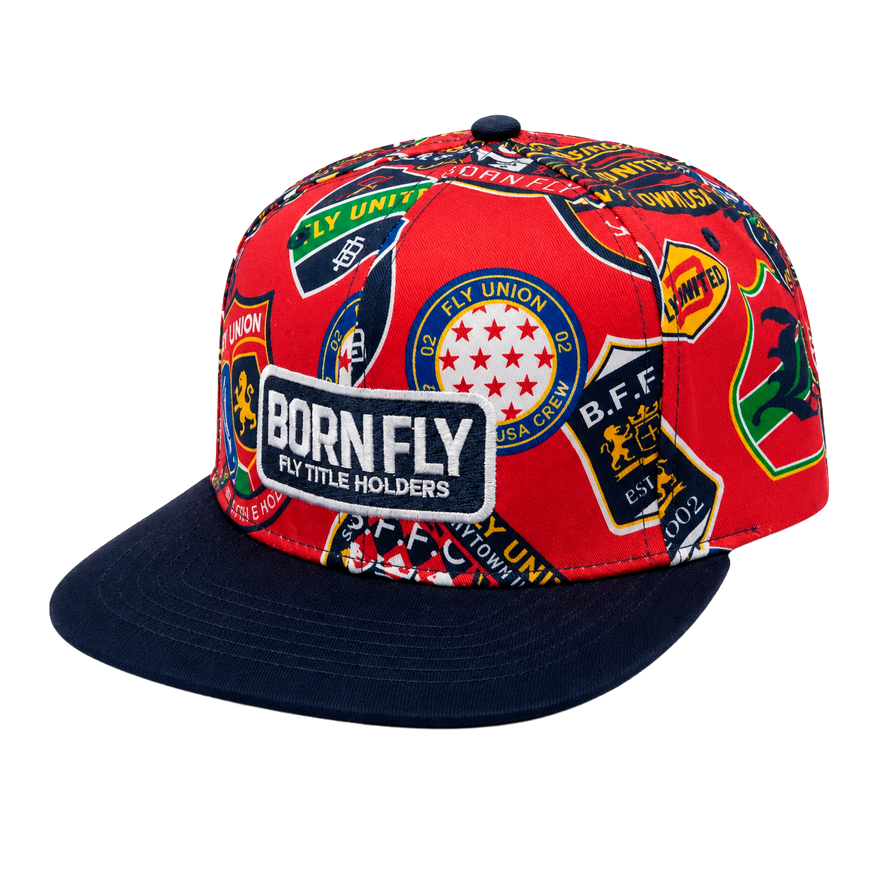 BORN FLY GRAPHIC SNAPBACK HAT MULTI - 2109X4306