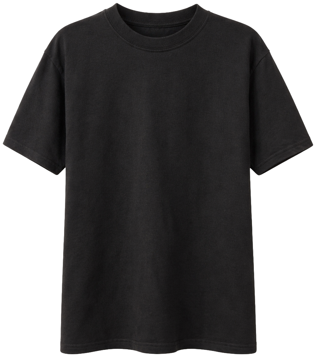 ASSORTED PREMIUM BLANK T-SHIRTS ASST - DSTT001/LCTT001/BS001 - Steal Deal