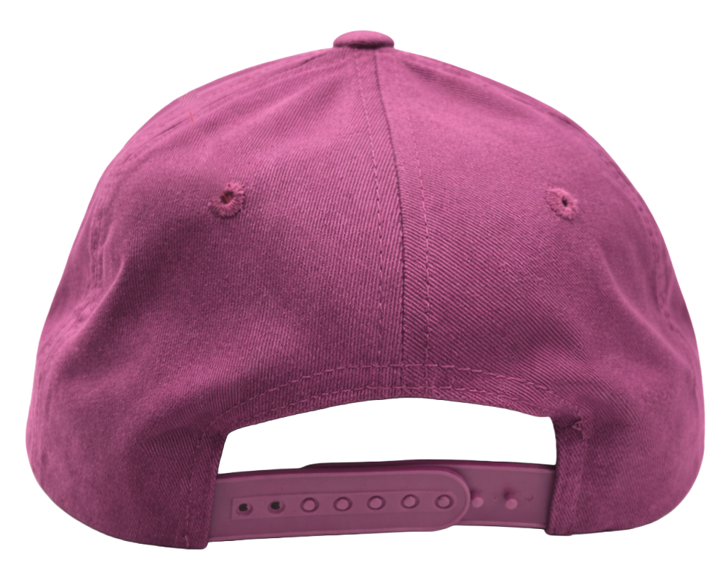 FORMULA 1 LV GRAND PRIX 2023 SNAPBACK HAT PURPLE/RED - MOOD