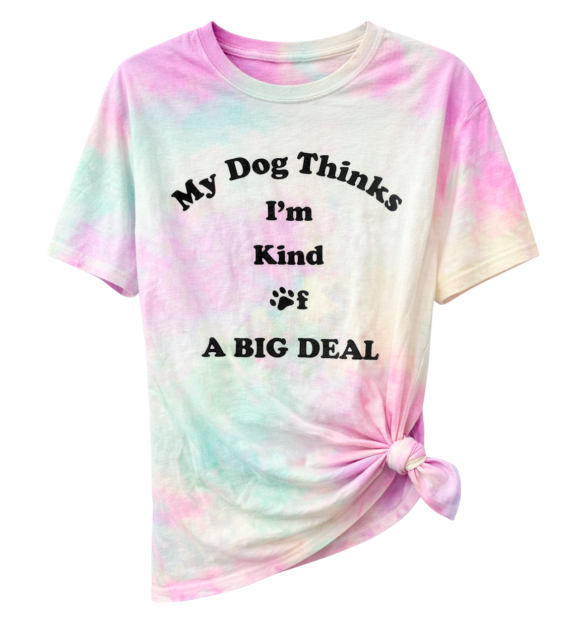 WOMENS LICENSED ASSORTED T-SHIRTS ASST - LCWMTS25 / OP3179