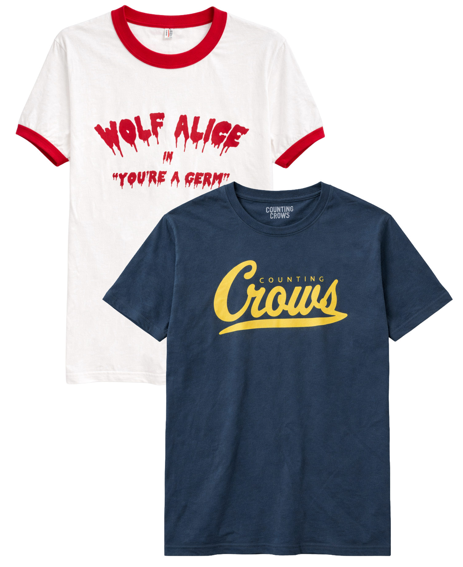 LICENSED ASSORTED MUSIC T-SHIRTS ASST - ASST