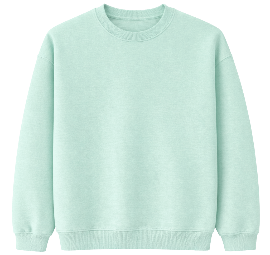 BIO ASSORTED BLANKS CREWNECKS ASST - BLANKS