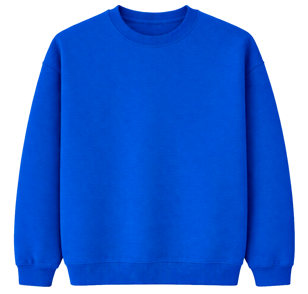BIO ASSORTED BLANKS CREWNECKS ASST - BLANKS