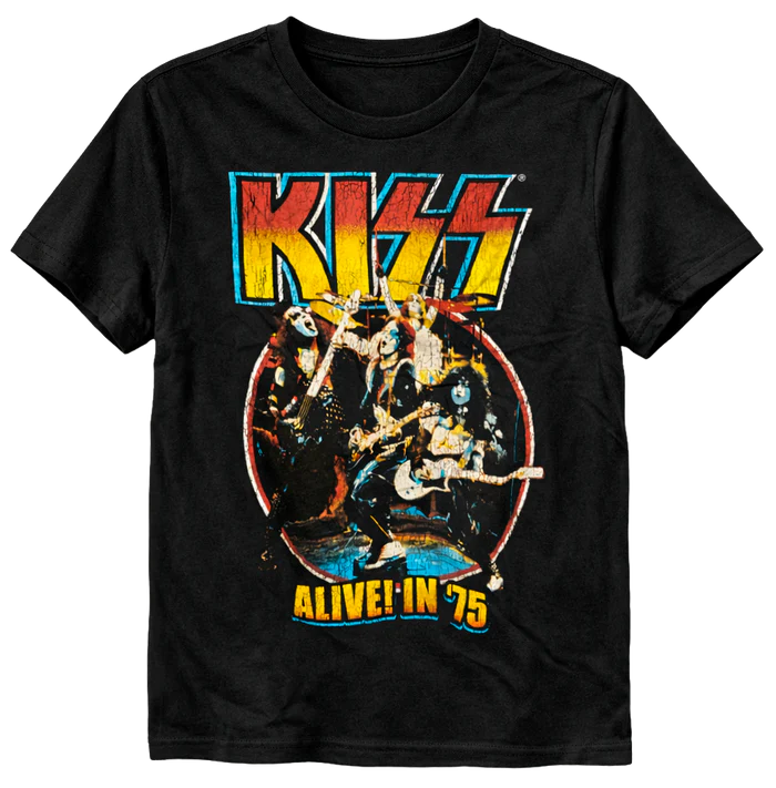 LICENSED ASSORTED ROCK MUSIC T-SHIRTS ASST - RCKSSTA