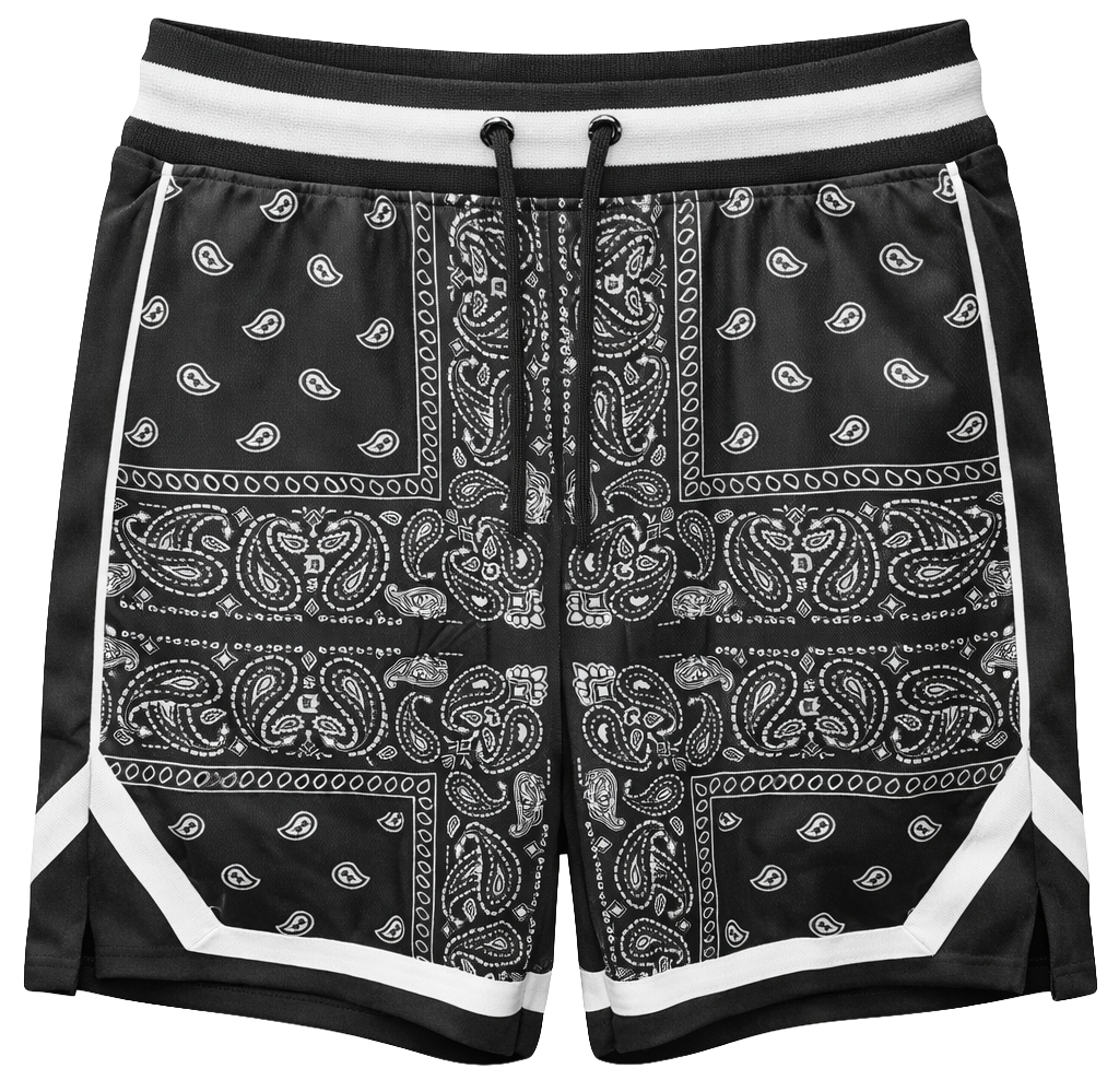 DOGG SUPPLY ASSORTED BASKETBALL SHORTS ASST - DSBKBSHT