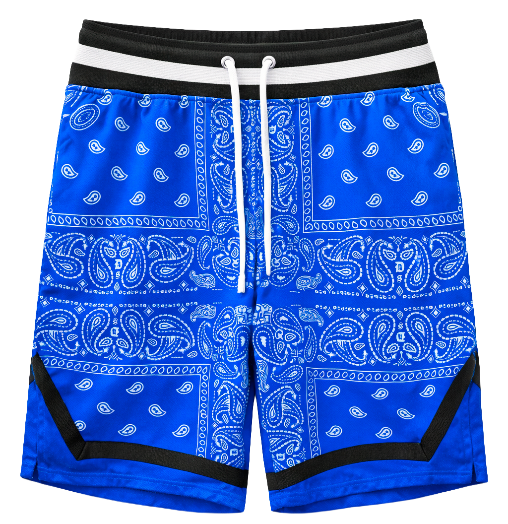 DOGG SUPPLY ASSORTED BASKETBALL SHORTS ASST - DSBKBSHT