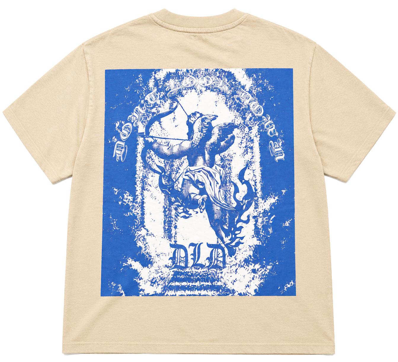 DLD OVERSIZED GRAPHIC T-SHIRT DESERT - DYF1-25T45