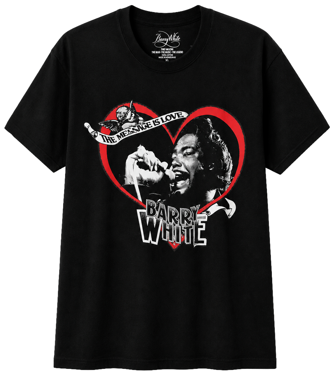 LICENSED MUSIC GRAPHIC T-SHIRTS ASSORTED - LICTSTJS1