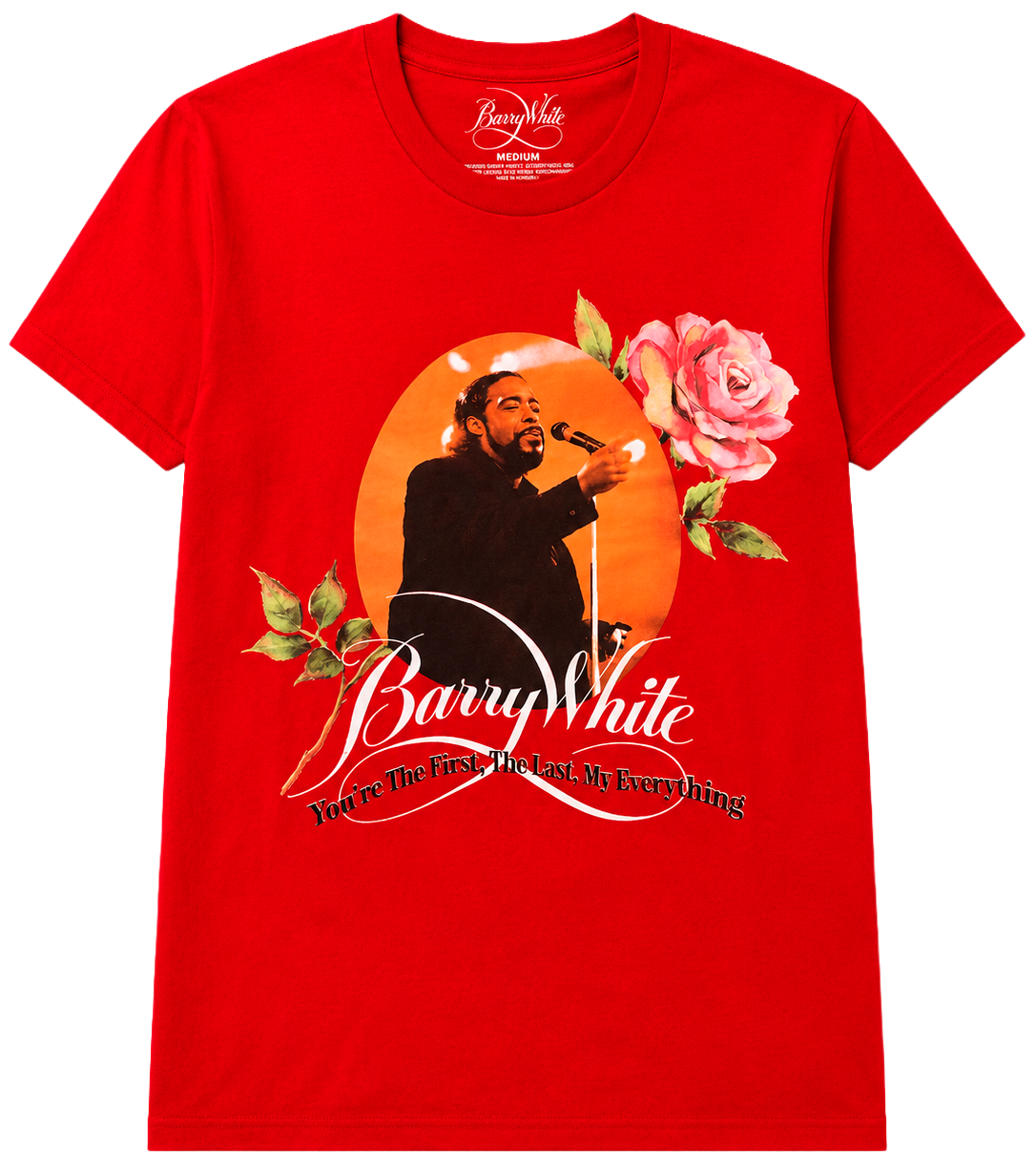 LICENSED MUSIC GRAPHIC T-SHIRTS ASSORTED - LICTSTJS1