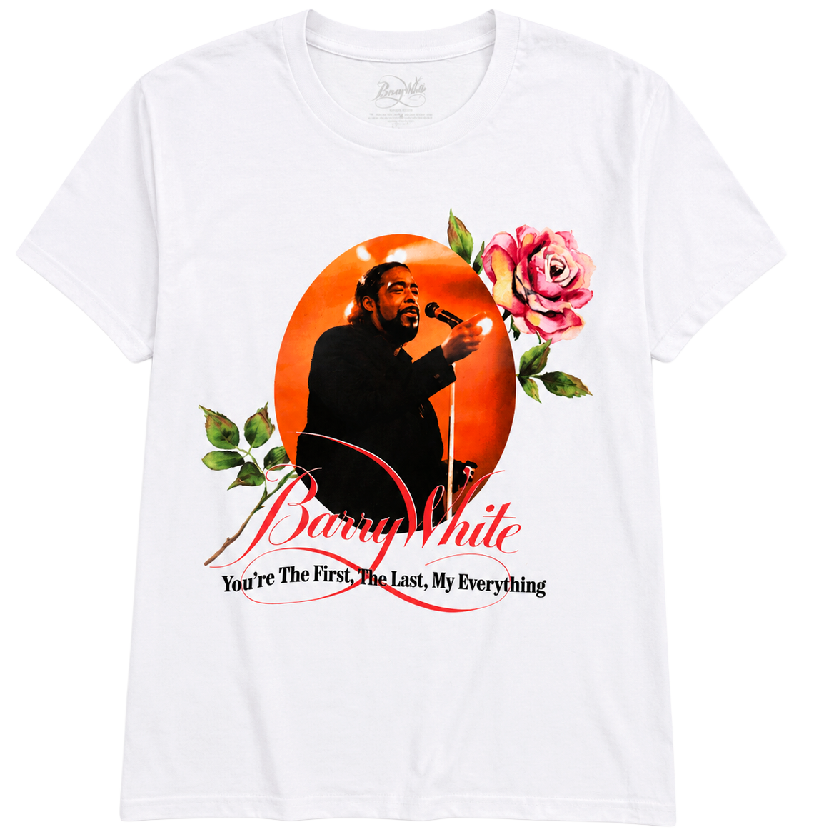 LICENSED MUSIC GRAPHIC T-SHIRTS ASSORTED - LICTSTJS1