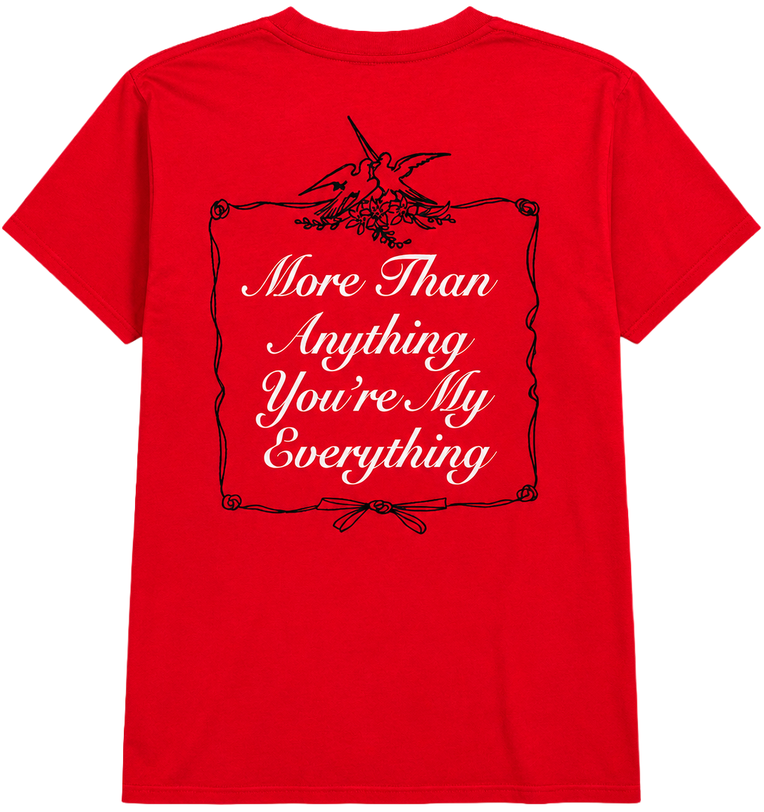 LICENSED MUSIC GRAPHIC T-SHIRTS ASSORTED - LICTSTJS1
