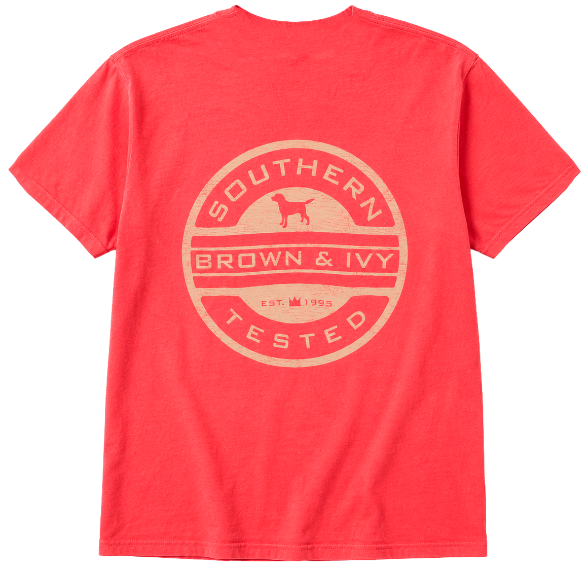 LICENSED ASSORTED GRAPHIC T-SHIRTS (IR) ASST - CROWN IVY
