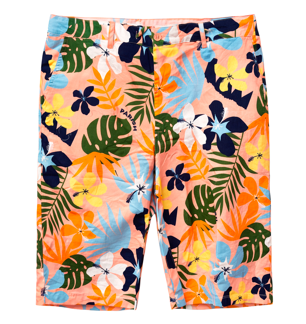 PARISH NATION ASSORTED BOARD SHORTS ASST - PNBDSHT