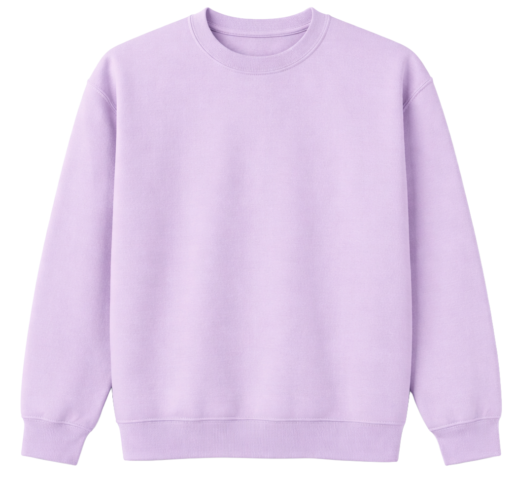 ASSORTED BLANK PREMIUM CREWNECK SWEATSHIRTS ASST - BLANKS - Steal Deal