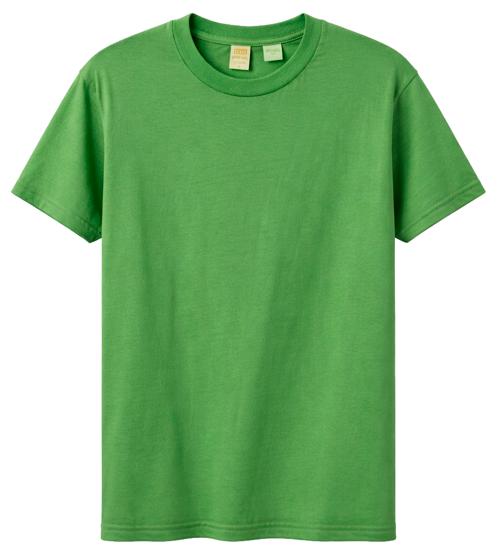 LEVIS ASSORTED GRAPHIC T-SHIRTS ASST - LVSSST26 - Steal Deal