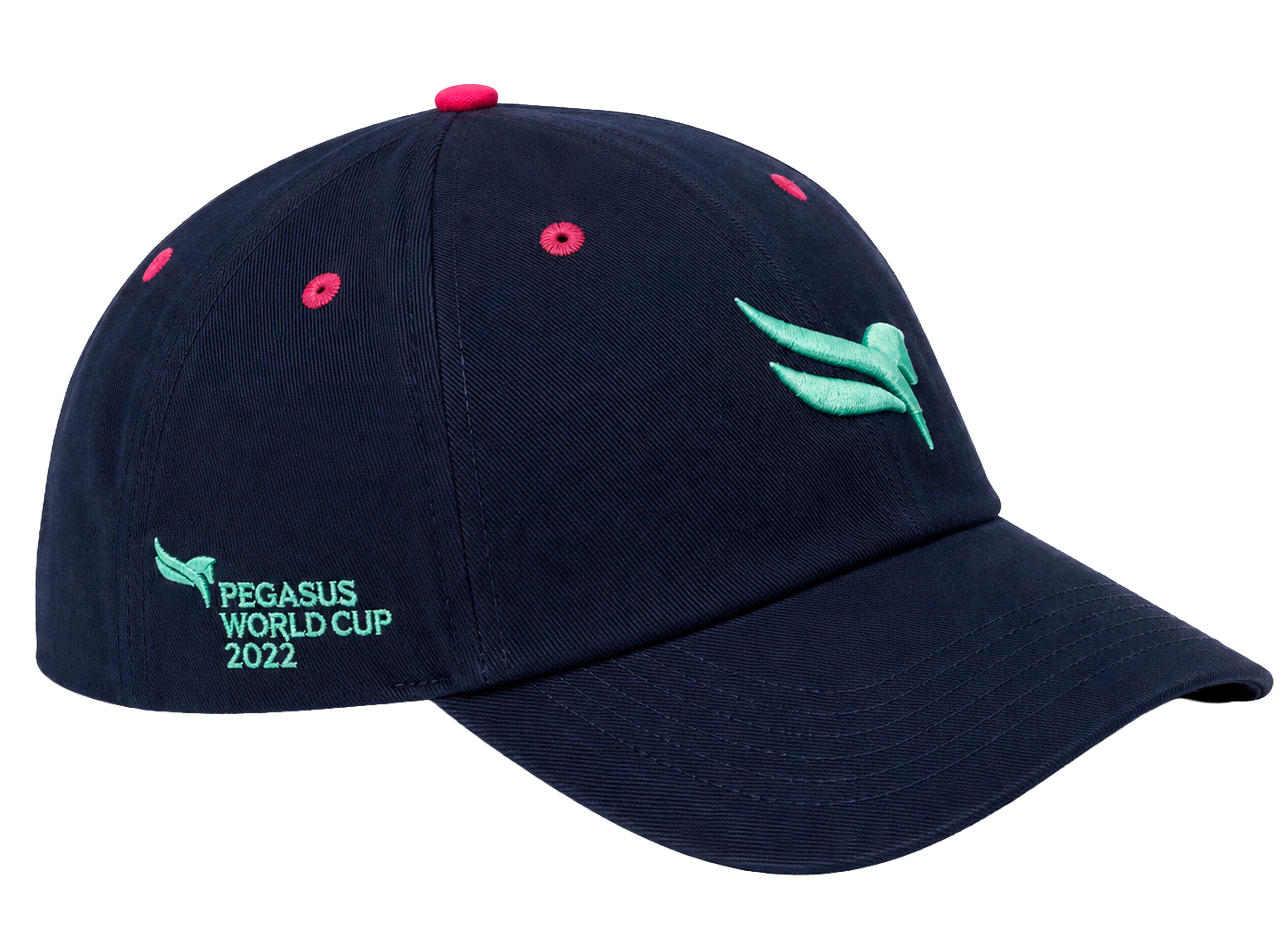 1/ST GULF STREAM PARK 2022 DAD HAT NAVY - GULFSTREAM 3.0 - Steal Deal