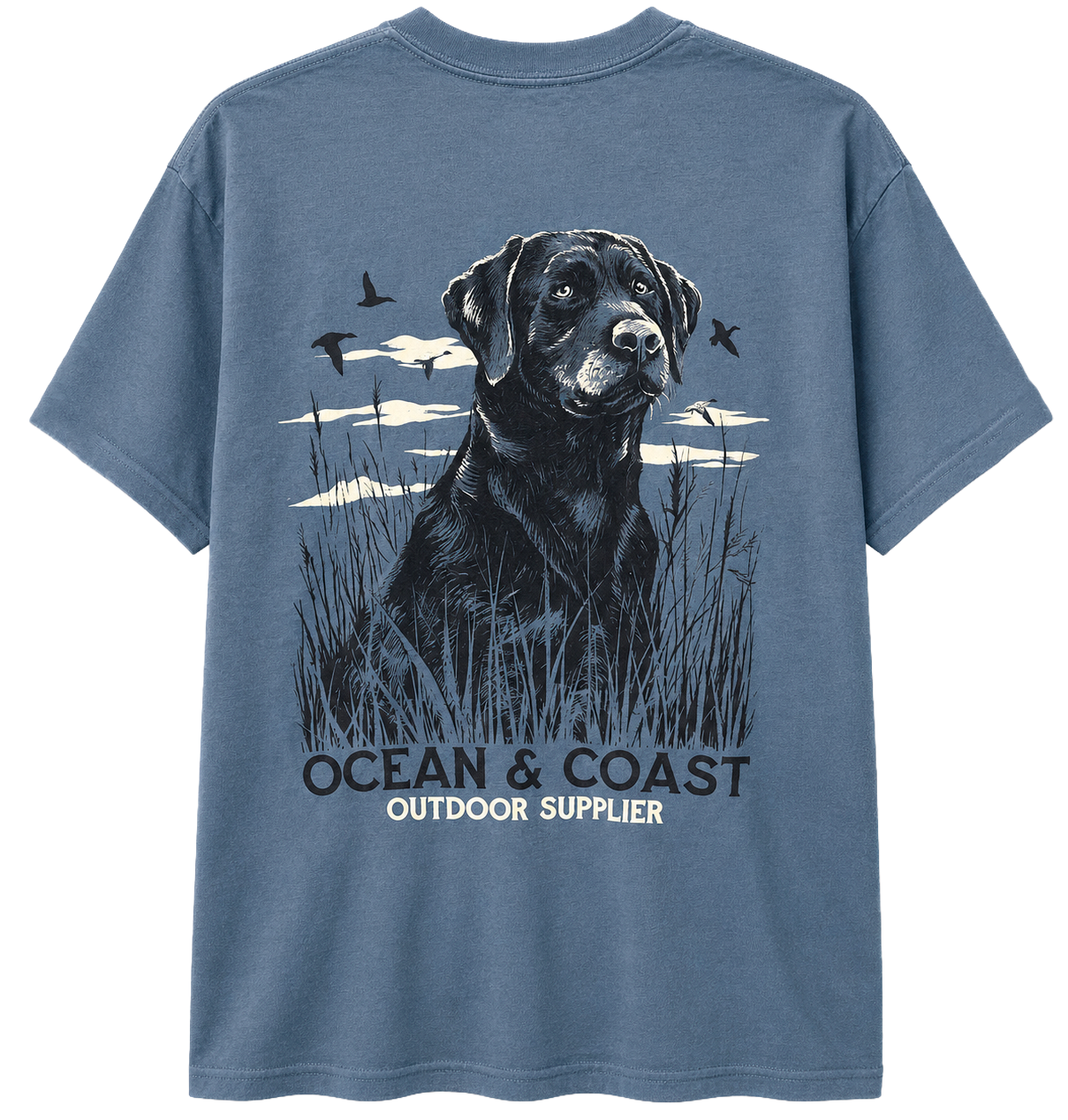 LICENSED ASSORTED GRAPHIC T-SHIRTS (IR) ASST - OCEAN COAST