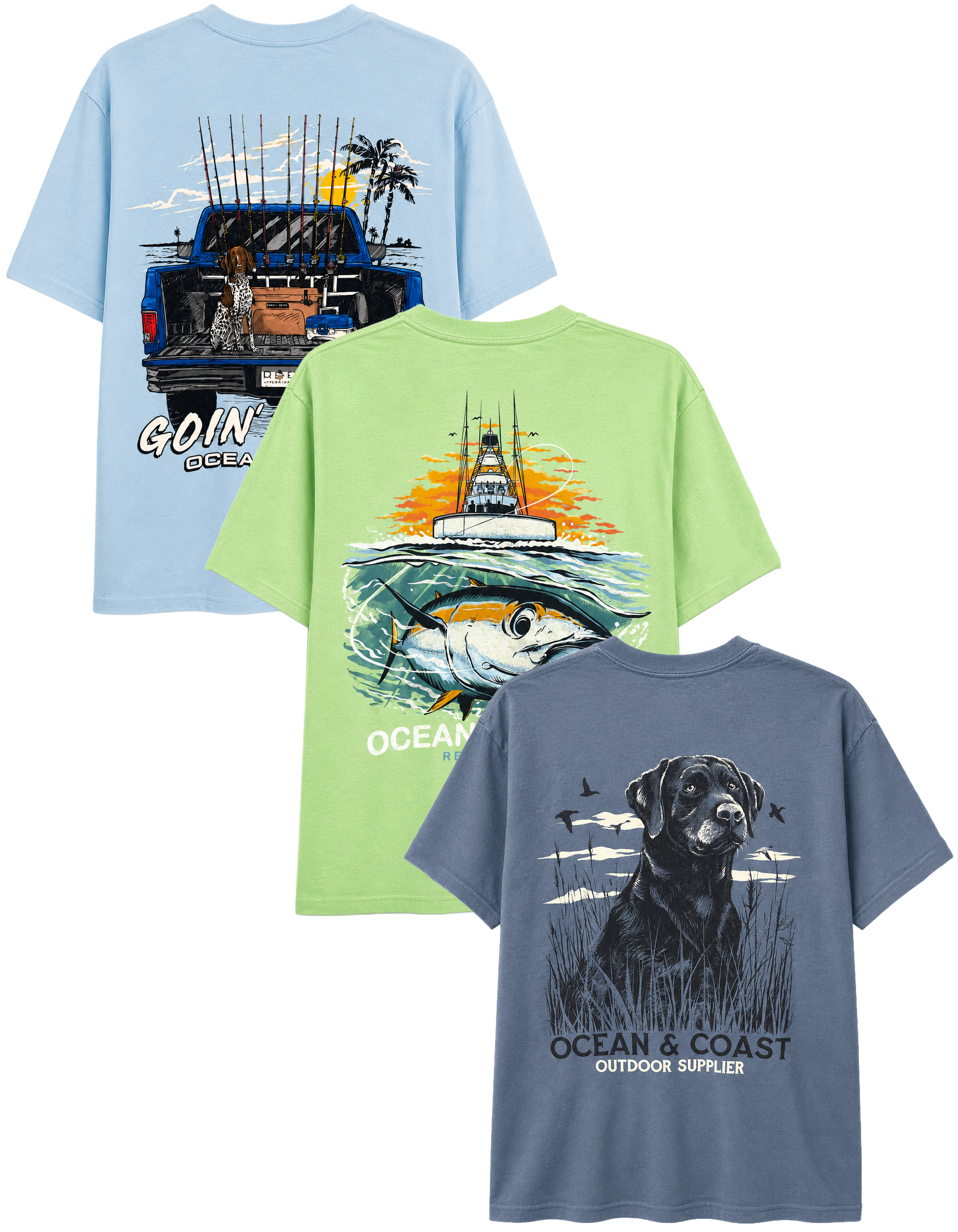 LICENSED ASSORTED GRAPHIC T-SHIRTS (IR) ASST - OCEAN COAST