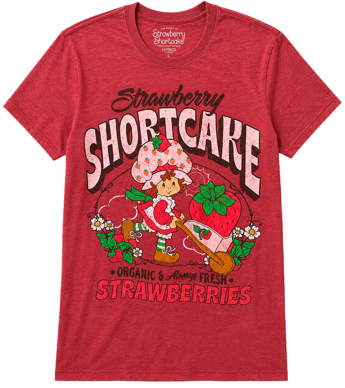 LICENSED ASSORTED POP CULTURE T-SHIRTS (IR) ASST - CARTOONS