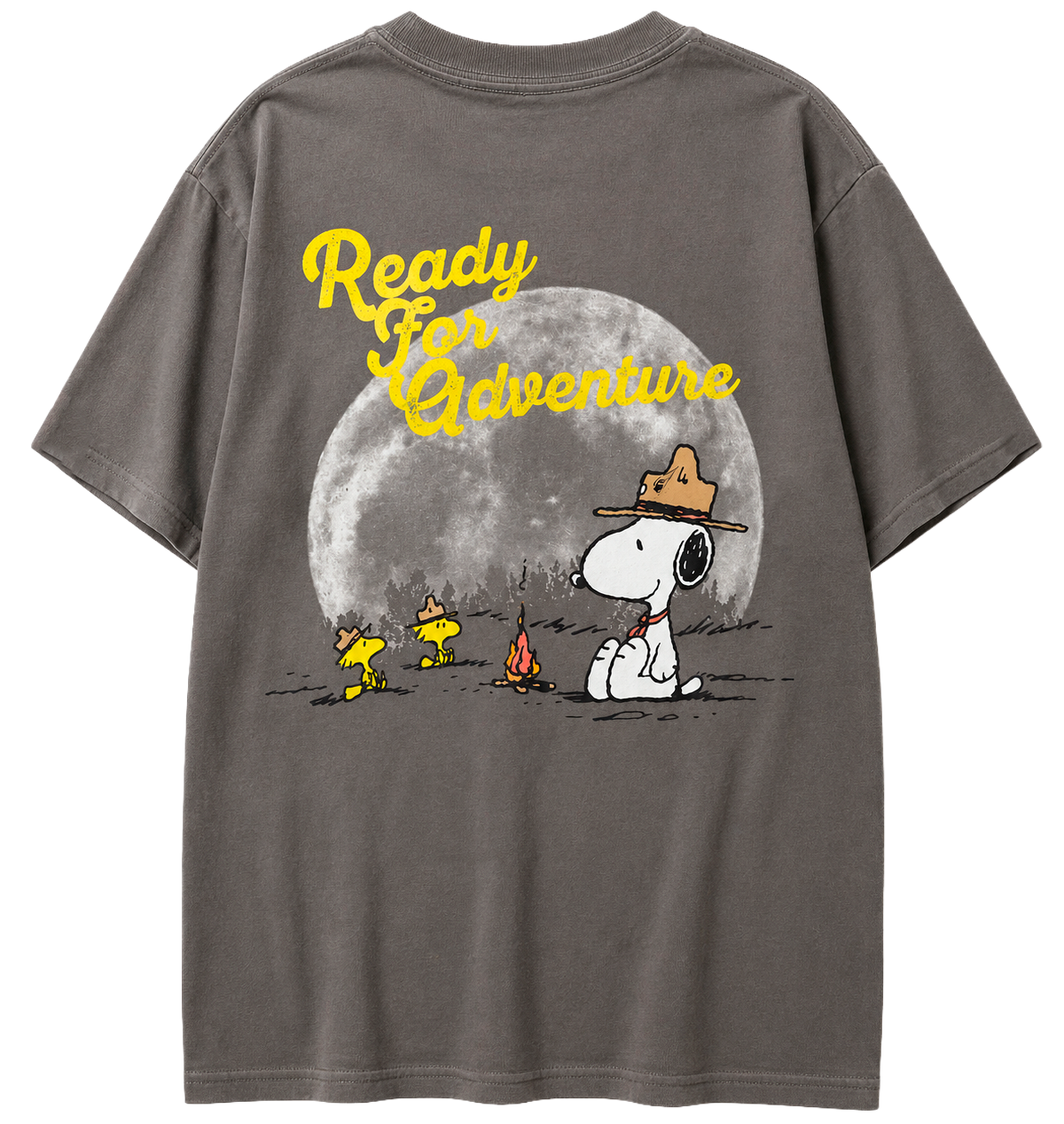 LICENSED ASSORTED CARTOON T-SHIRTS ASST - PEANUTS