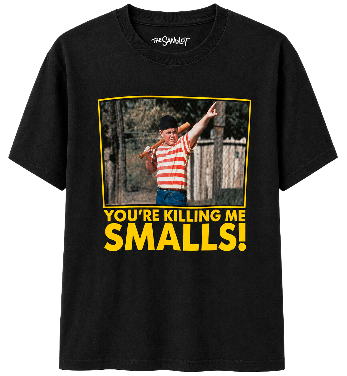 LICENSED ASSORTED POP CULTURE T-SHIRTS (IR) ASST - MOVIES & TV