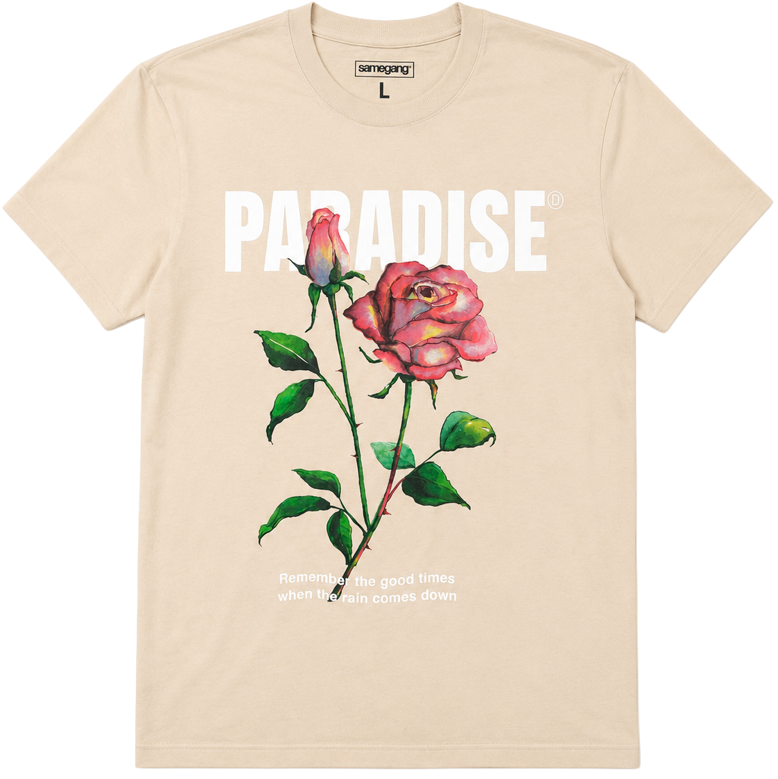 LICENSED ASSORTED GRAPHIC T-SHIRTS ASST - PLLICT26