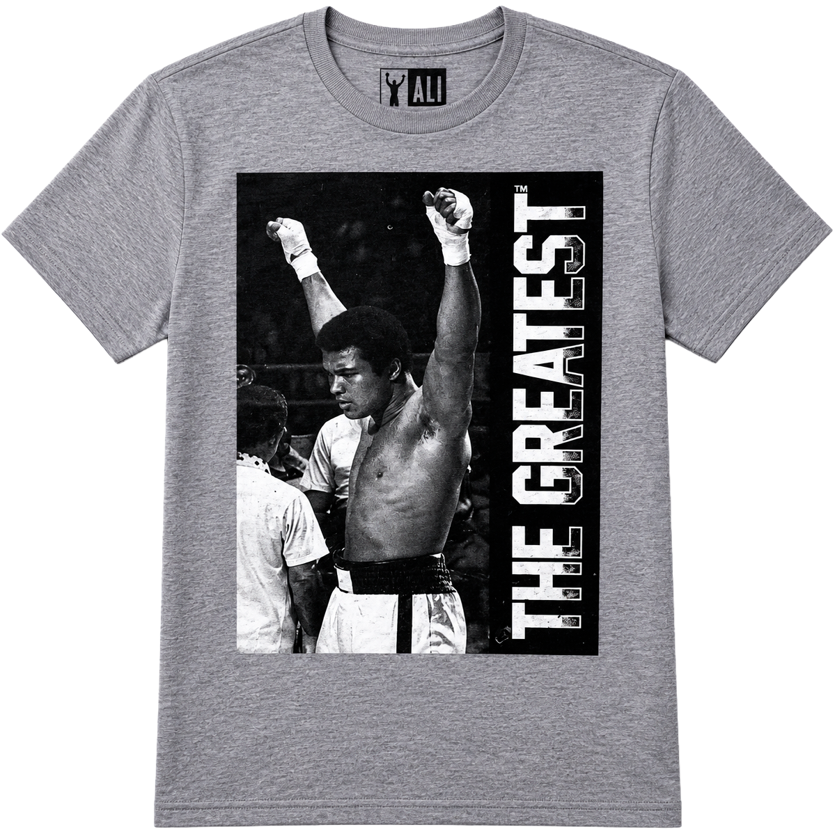 YOUTH BOYS ASSORTED LICENSED T-SHIRTS (IR) ASST - GRAPHIC PRINTS