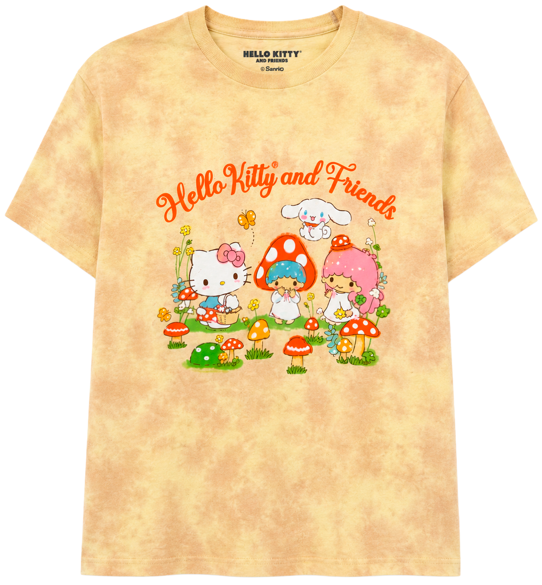 YOUTH GIRLS ASSORTED LICENSED T-SHIRTS (IR) ASST - HELLO KITTY