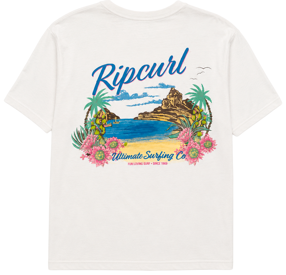 WOMENS LICENSED ASSORTED GRAPHIC SHIRTS ASST - PLLICWST26