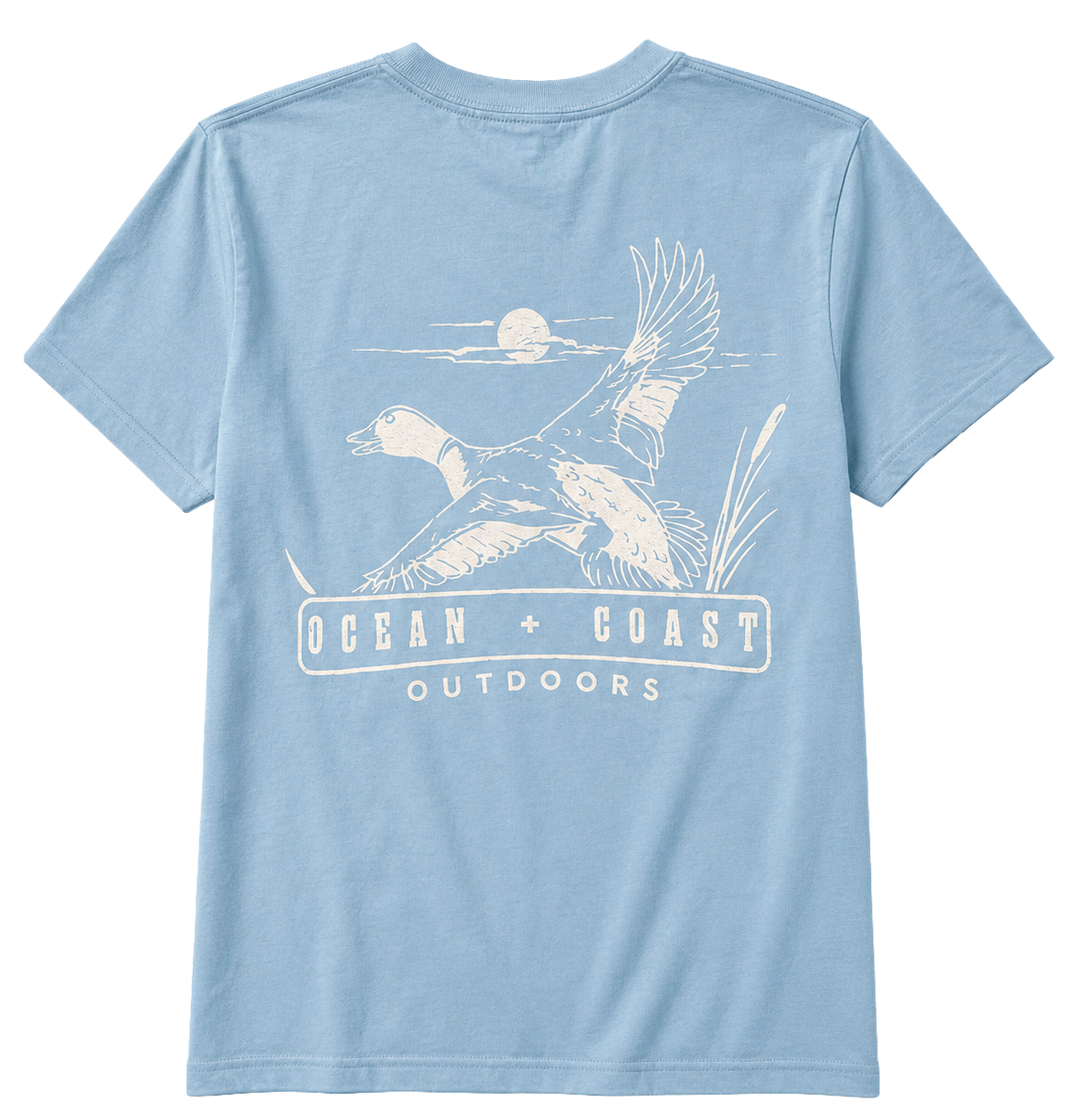 YOUTH BOYS ASSORTED LICENSED T-SHIRTS (IR) ASST - GRAPHIC PRINTS