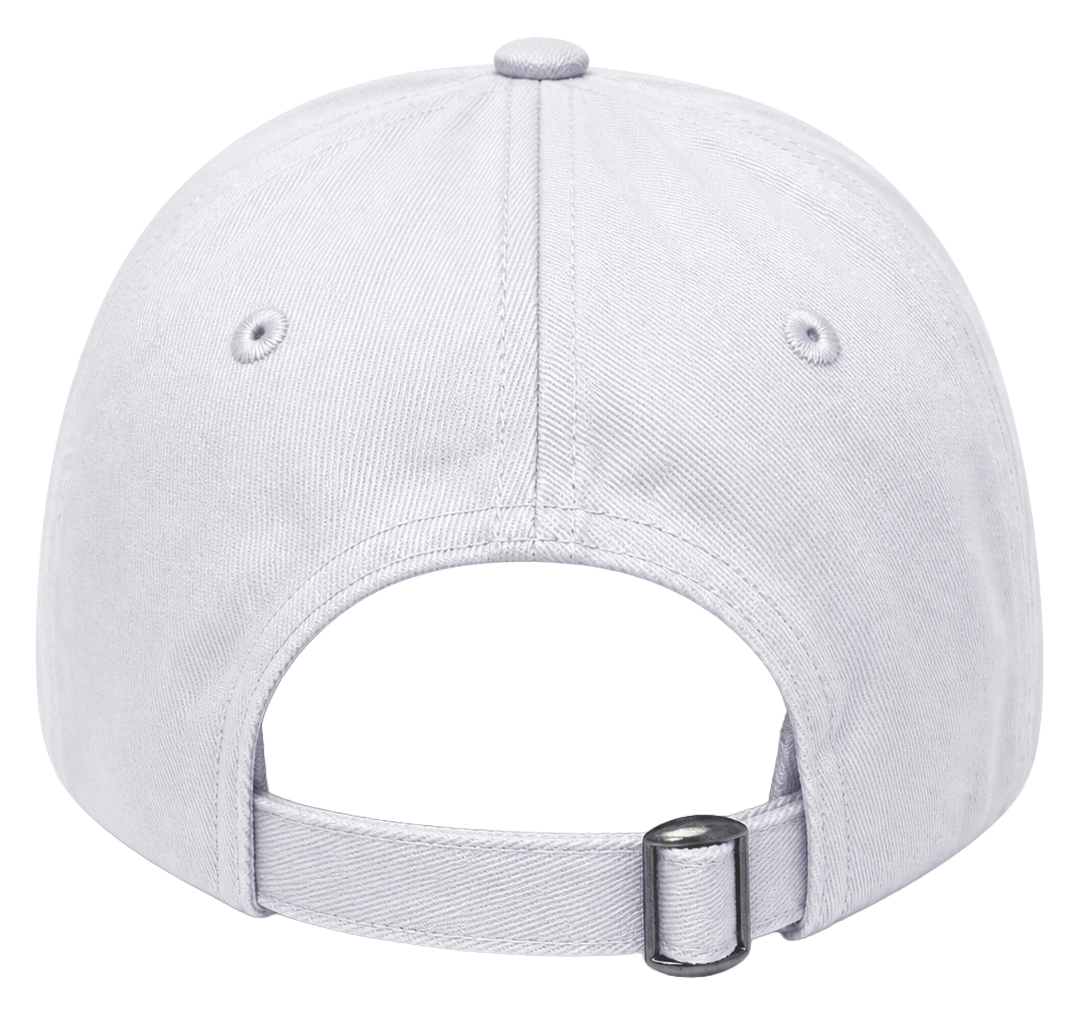 JOSHUA TREE NATIONAL PARK DAD HAT LAVANDE ALL - BA26874NPFU