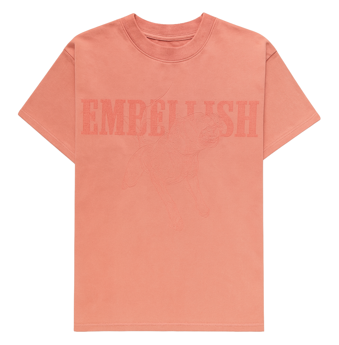 EMBELLISH ASSORTED GRAPHIC T-SHIRTS ASST - EMBLSSTA
