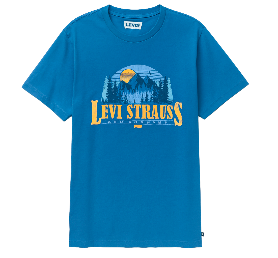 LEVIS ASSORTED GRAPHIC T-SHIRTS ASST - LVSTS25