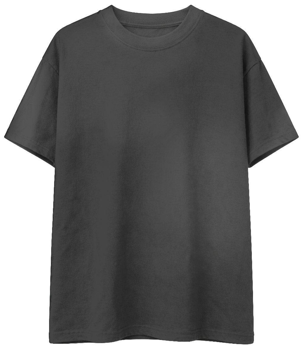 ASSORTED PREMIUM BLANK T-SHIRTS ASST - DSTT001/LCTT001/BS001