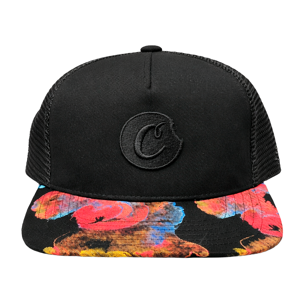 COOKIES ASSORTED SNAPBACK HATS ASST - CKEHTS
