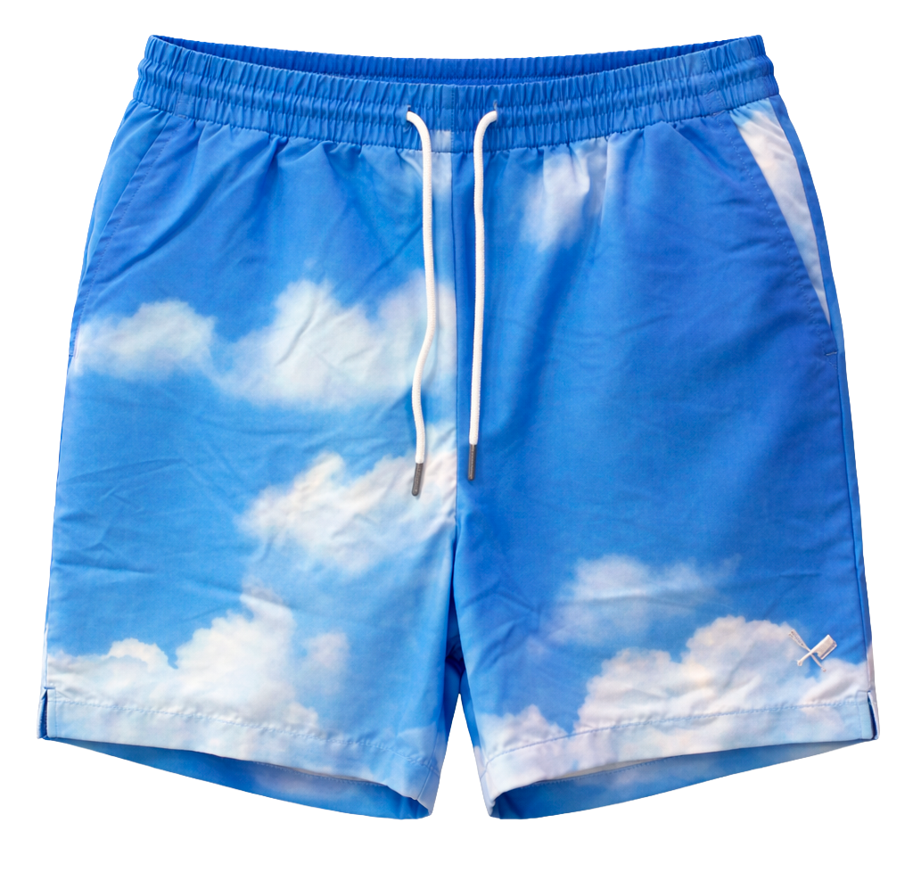 DISTORTED PEOPLE ASSORTED SWIM SHORTS ASST - DPSWMSHTA