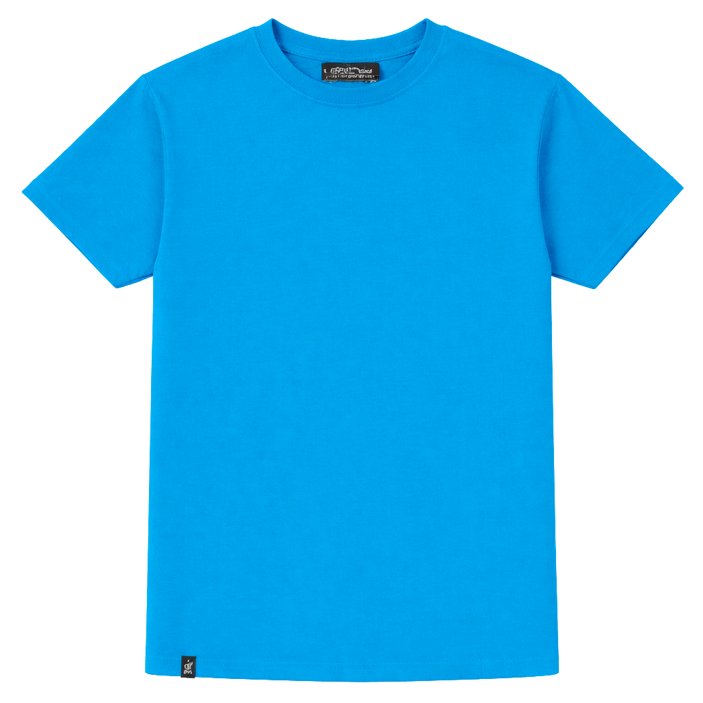KANGOL T-SHIRT TURQUOISE - K900L - Steal Deal
