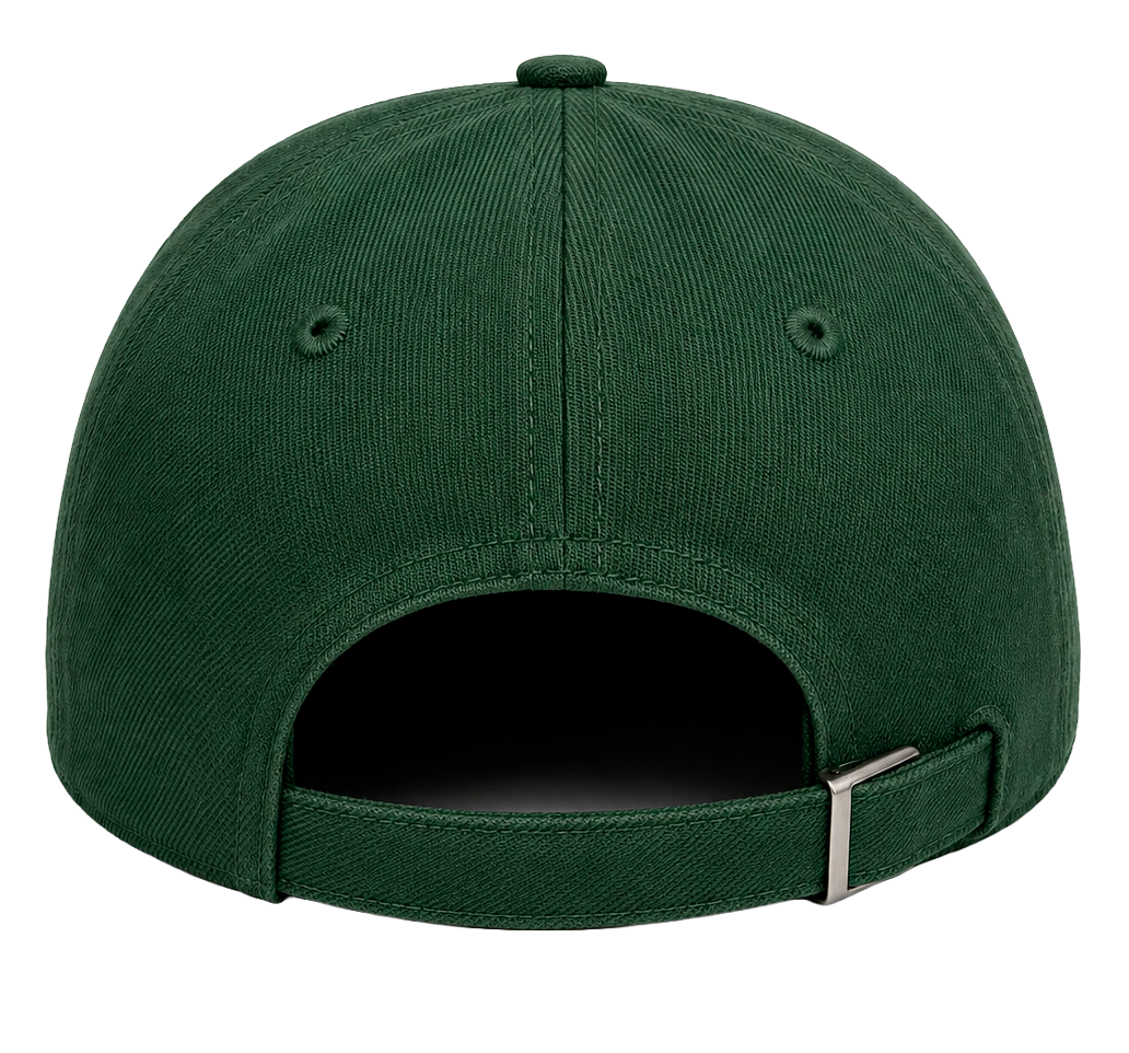 9DCC ASSORTED PREMIUM DAD HATS ASST - 9DCCHTS