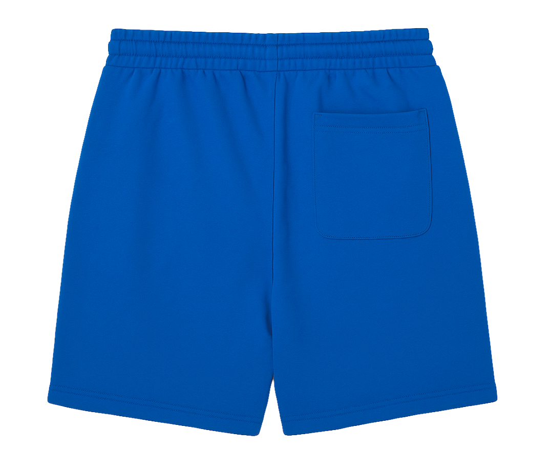 NO BOUNDARIES ASSORTED SWEAT SHORTS BLUE & CHARCOAL - NB23100068472