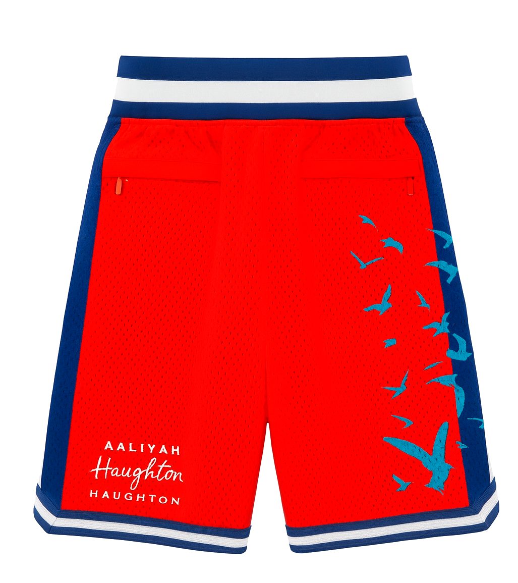 YOUTH HEADGEAR ASSORTED BASKETBALL JERSEY SHORTS ASST - HGC-YBS-ASST