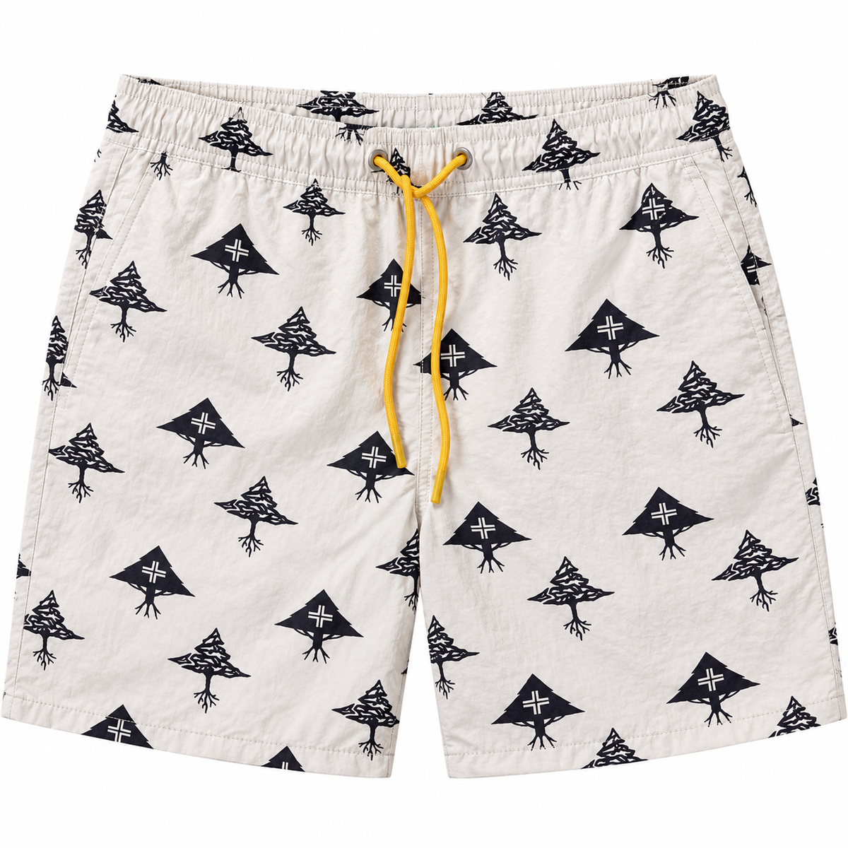 LRG ASSORTED BOARD SHORTS ASST - LBRDSHTA