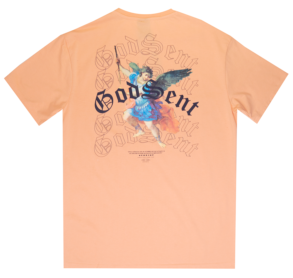 GENUINE GRAPHIC T-SHIRT SALMON - GN3041
