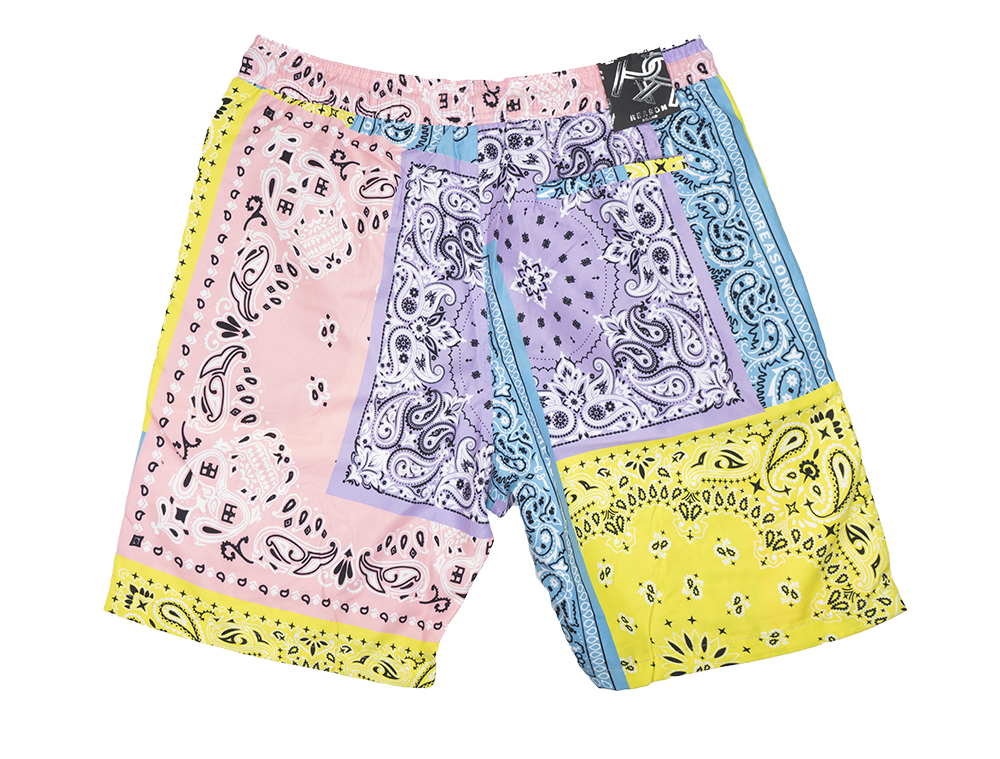 REASON GRAPHIC SWIM SHORTS MULTI - AZSW-031