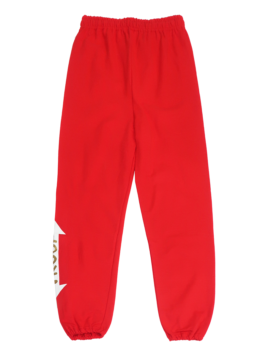 TROOP DESTROYER SWEATPANT JOGGERS - TP173508