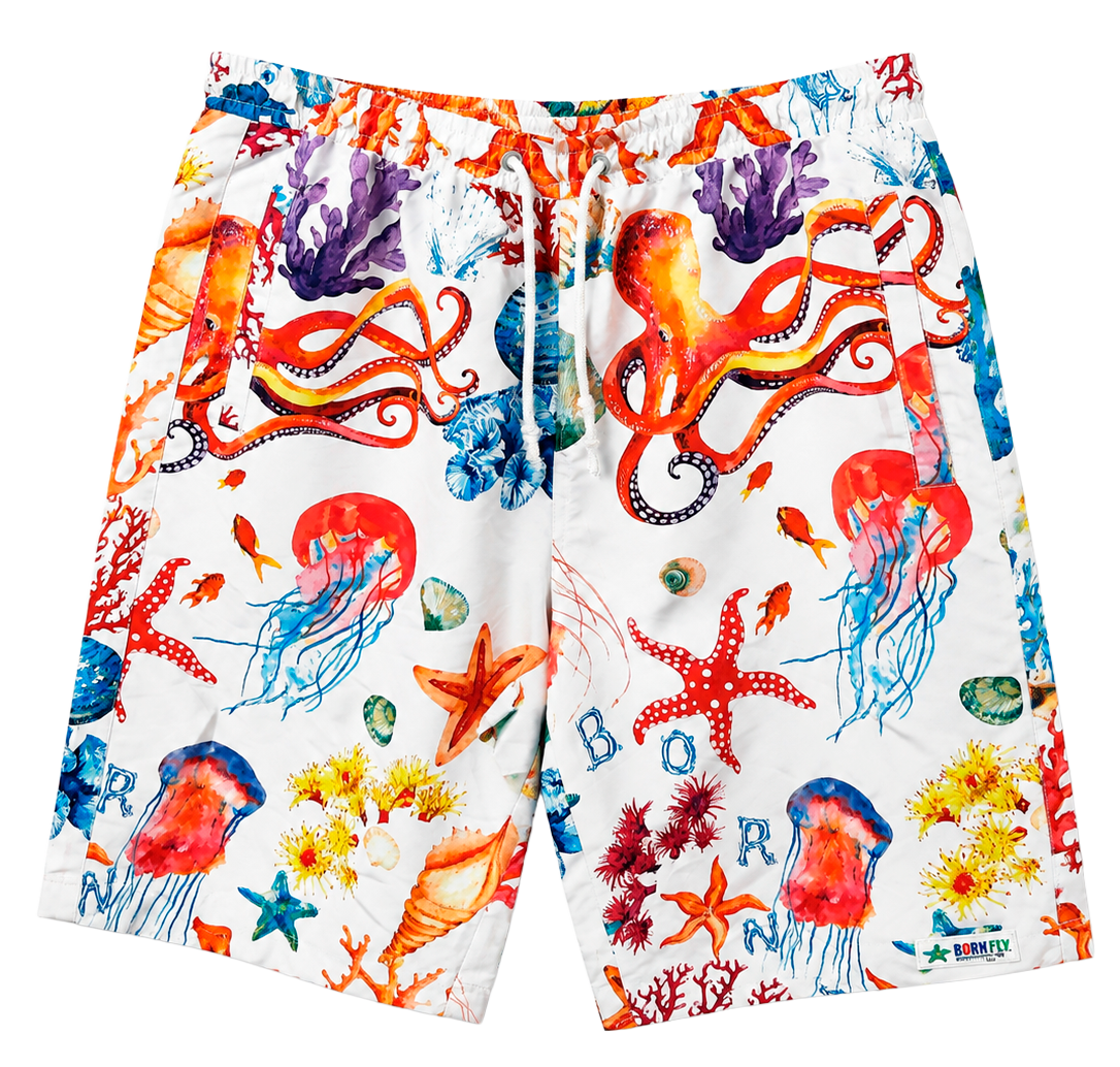 BORN FLY ASSORTED SHORTS ASST - BFSHT26