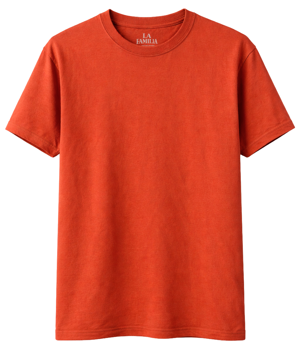 LA FAMILIA ASSORTED PREMIUM T-SHIRTS ASST - LFSSTA - Steal Deal 