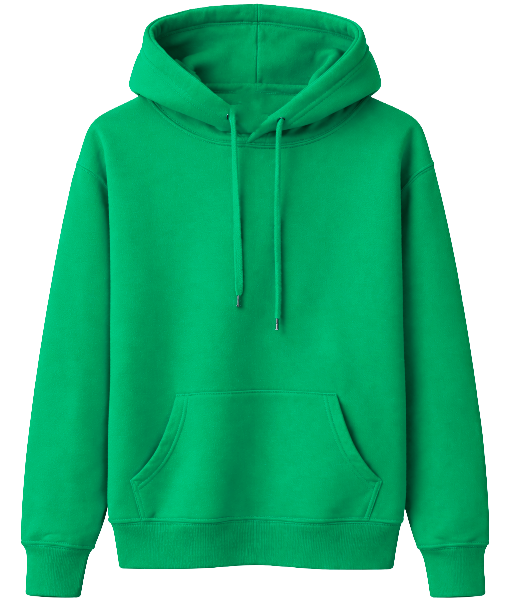 BIO ASSORTED BLANK HOODIES ASST - BLANKS