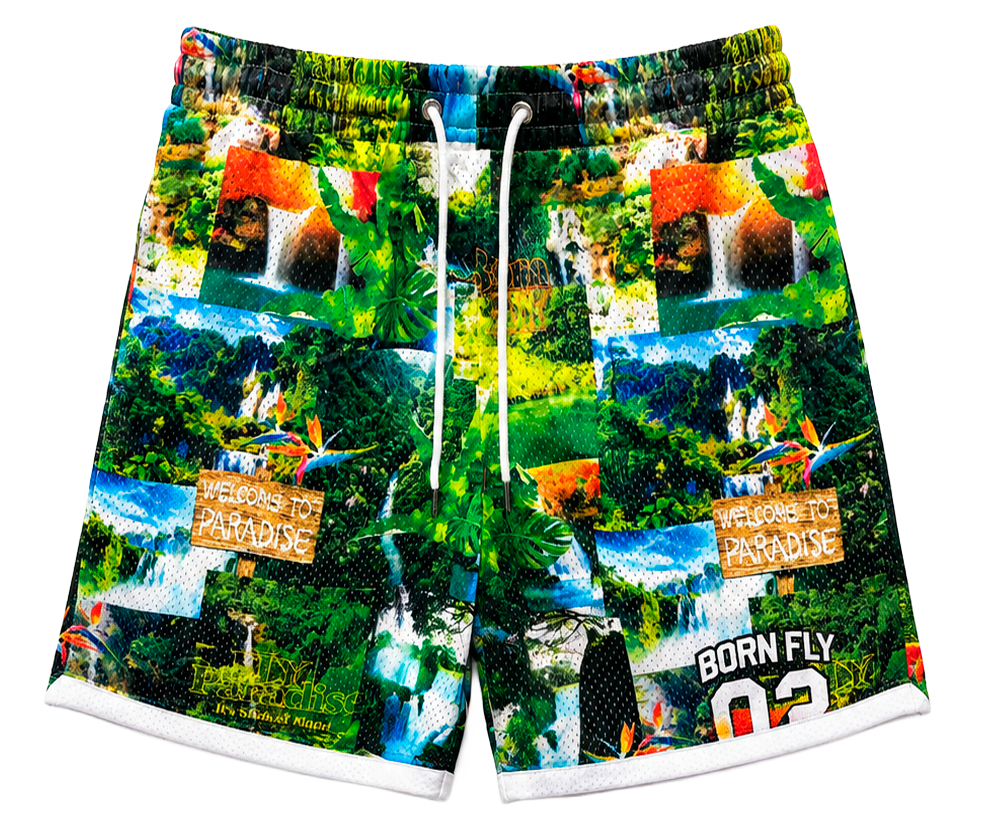 BORN FLY ASSORTED SHORTS ASST - BFSHT26